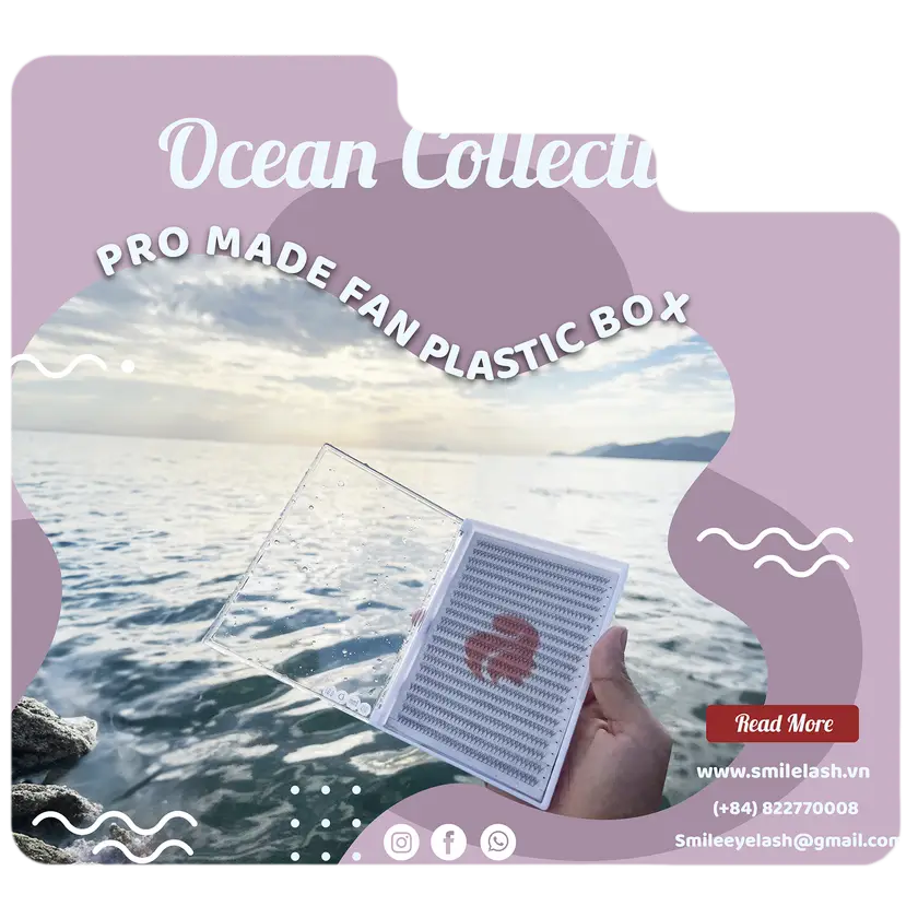 Ocean Collectionn
